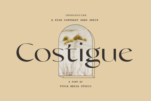 Costigue: A Modern Serif Font for Creative Makers