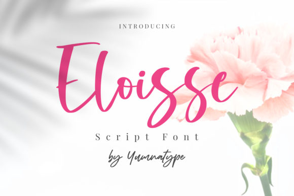 Eloisse: The Elegant Script Font for Modern Web Design