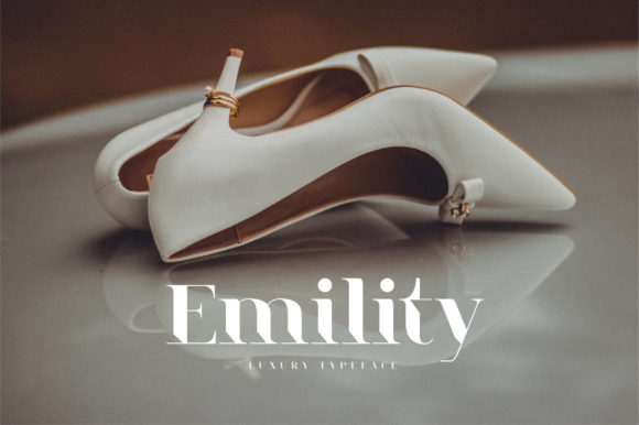 Emility: The Elegant Serif Font for Digital Design