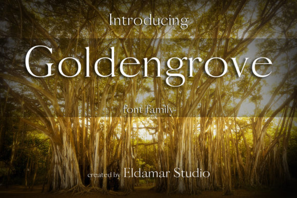 Goldengrove: A Thin Serif Font for Modern Web Design