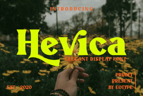Hevica: A Bold Serif Font for Your Brand