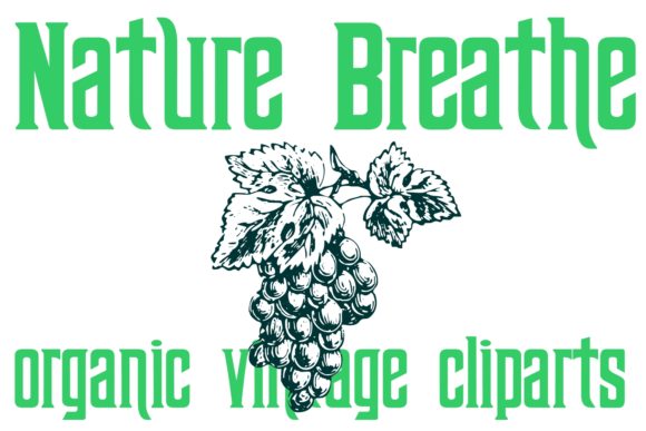 Nature Breathe: A Review of This Organic Dingbats Font