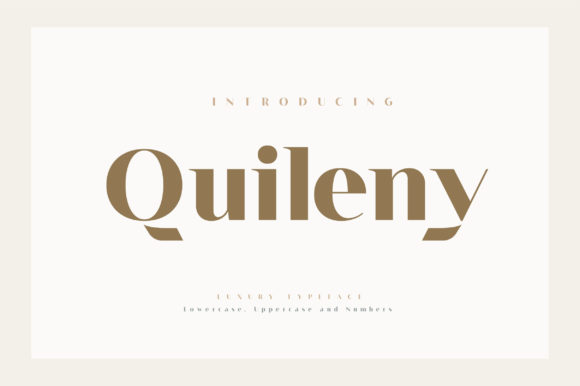 Quileny: A Bold Serif Font for Elegant Branding