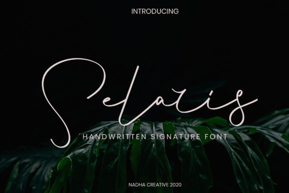 Selaris: A Stylish Script Handwritten Font for Web Design